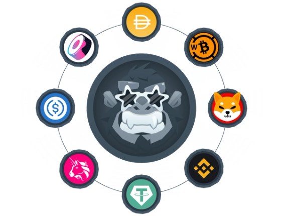 BitKong's face with star-shaped glasses. Around him, circles with the different tokens logos: Tether, Binance, Uniswap, Shiba Inu, Wrapped Bitcoin, Dai Coin, SushiSwap, and USDC Coin.