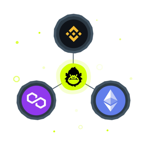 Illustration Displaying the Three Networks where KONG token is available: Polygon, Binance Chain, and Ethereum.