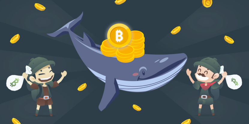 A whale carrying BTC coins. At the sides, two explorers holding money bags.